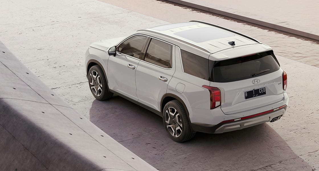 PALISADE  Performance